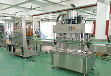 液體全自動灌裝旋蓋生產(chǎn)線